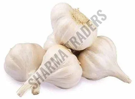 A Grade Fresh Garlic