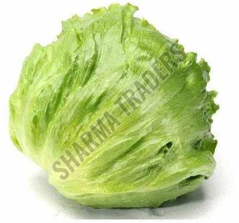 A Grade Fresh Lettuce Iceberg