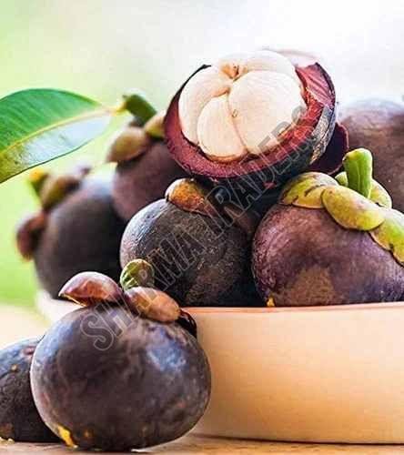 A Grade Fresh Mangosteen