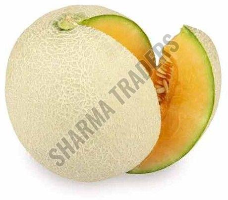 A Grade Fresh Muskmelon