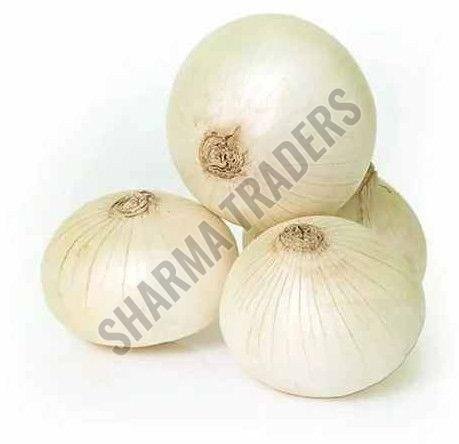 A Grade Fresh White Onion