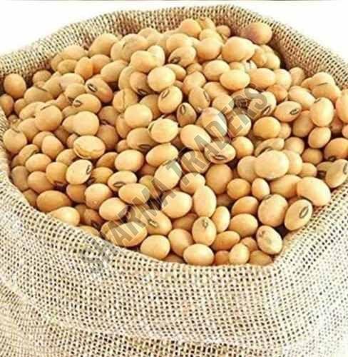 A Grade Whole Soybean