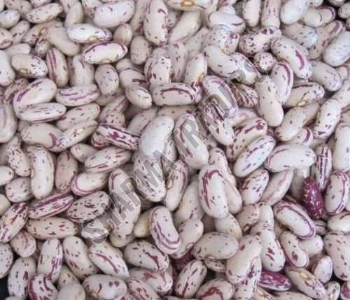 Light Speckled Kidney Bean