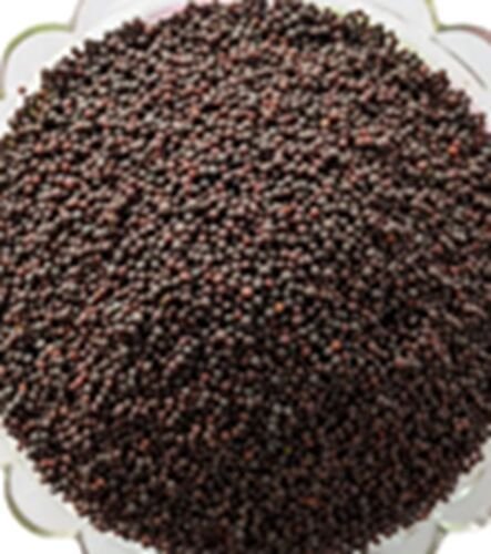 Mustard Seeds