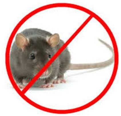 Rodent Control Services