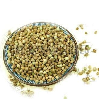 Hemp Seeds