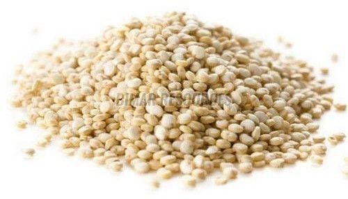 Quinoa Seeds