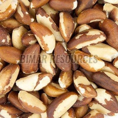 Raw Brazil Nuts