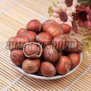 Raw Hazelnuts