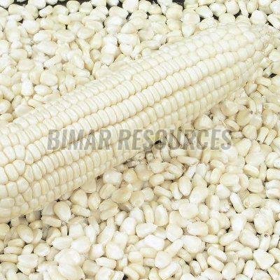 White Corn
