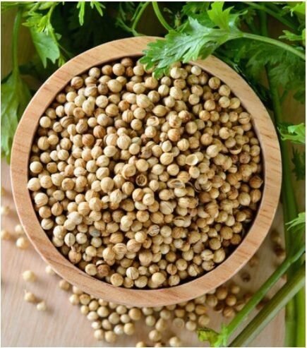 Whole Coriander Seed