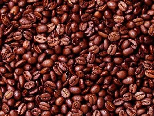 Roasted Coffee Bean