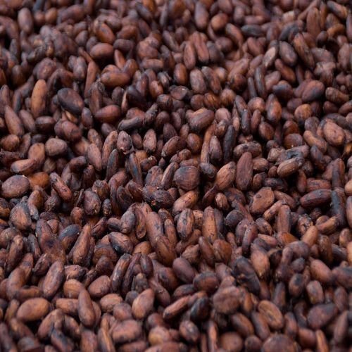 Chocolate Cocoa Beans