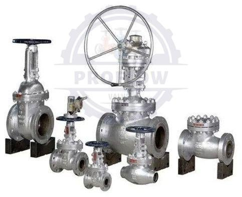 2 X 72 Cm Audco Gate Valve