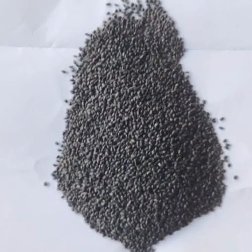 Organic Basil Seed