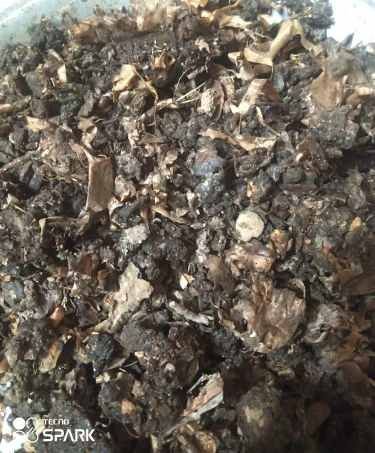 Natural Guggal Dhoop