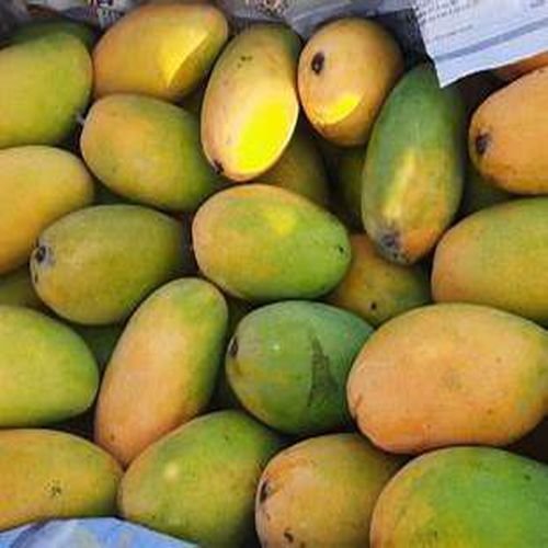 Fresh Dasheri Mango