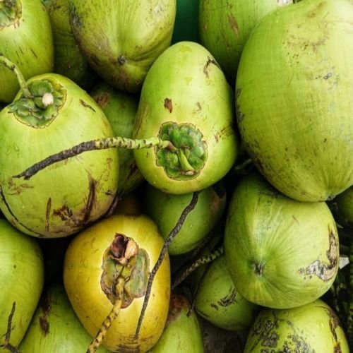 Fresh Coconut