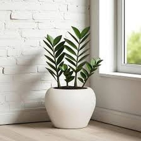 12 Inch White Apple Flower Pot