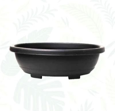 Black Bonsai Oval Planter