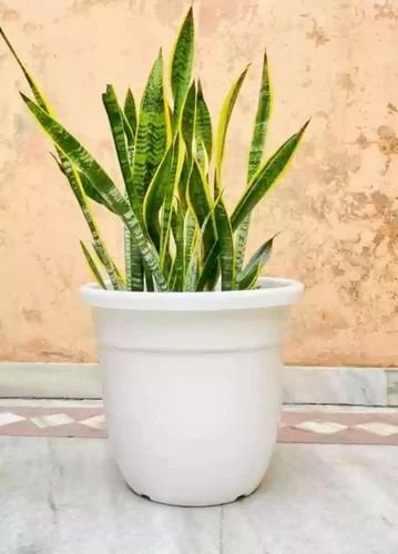 14 Inch Round White Deluxe Flower Pot