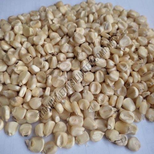 White Maize Seeds