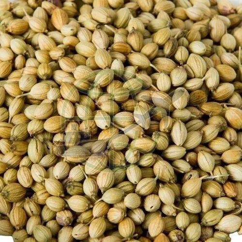 Coriander Seeds