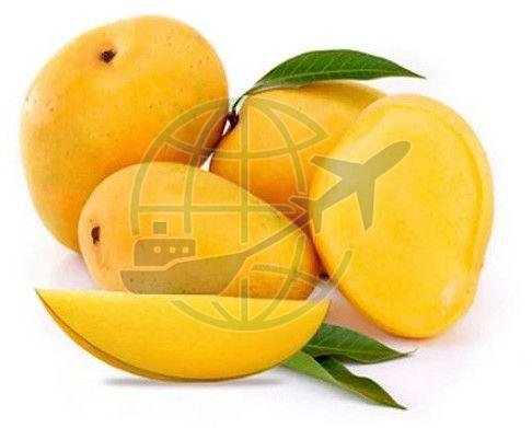 Fresh Fruits & Vegetables