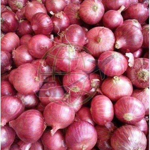 Fresh Nashik Red Onion