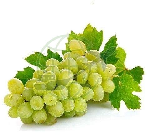 Fresh Thompson Seedless Green Grapes