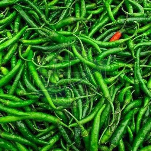 G4 Fresh Green Chilli