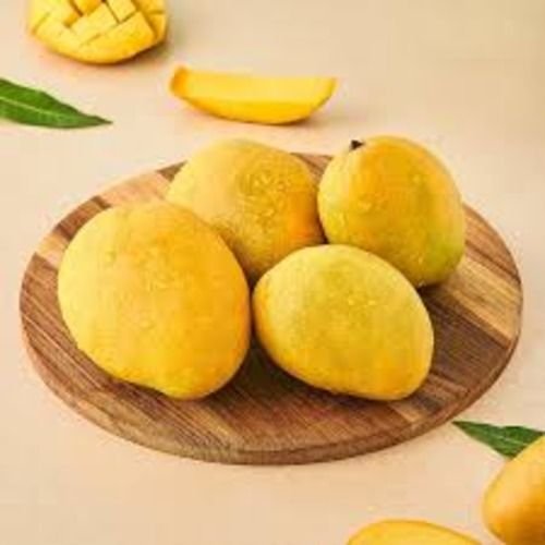 Banginapalli Mango Banginapalli Mango