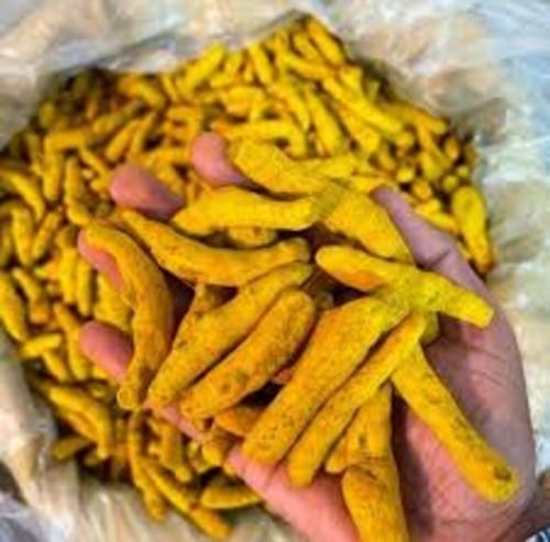 Turmeric Finger Turmeric Finger