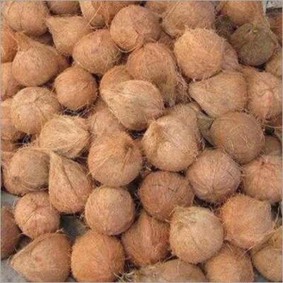 semi husked coconuts