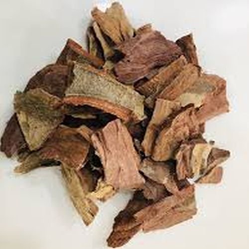 Arjun Bark Extract