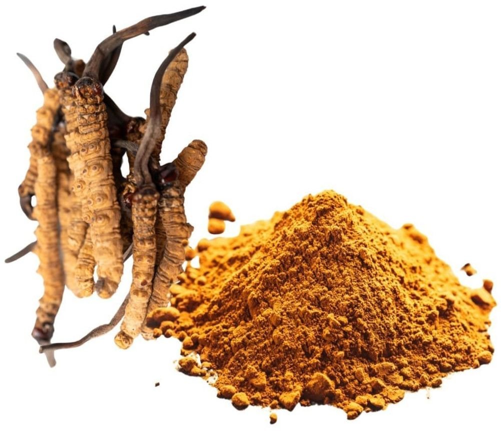 Cordyceps Mushroom Extract