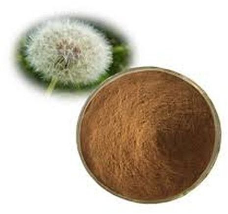 Dandelion Extract