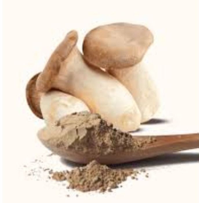 King Trumpet Mushroom Extract