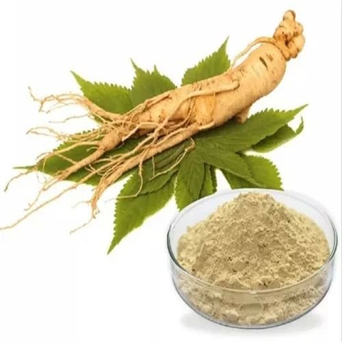 Panax Ginseng Extract