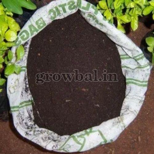 Natural Cow Manure