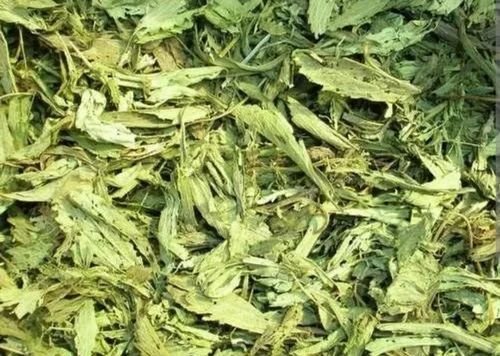 Stevia Leaves