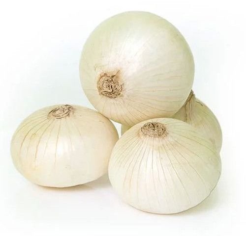 Fresh White Onion