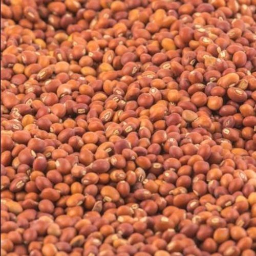 Pigeon Peas