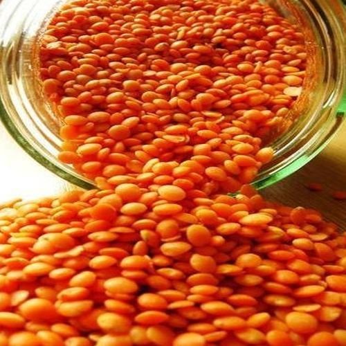 Red Lentils
