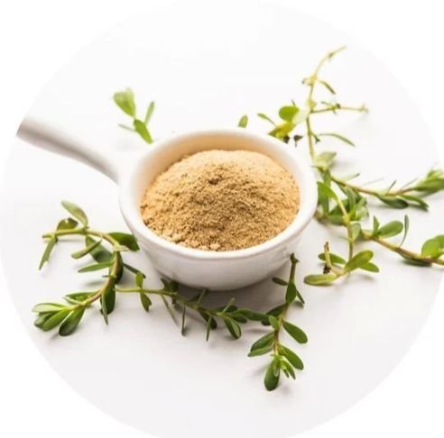 Bacopa Monnieri Extract Powder