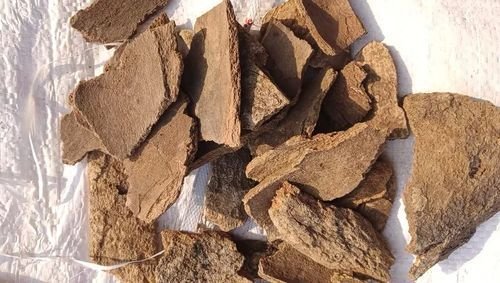 Dried Gambhari Bark