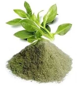 Kalmegh Extract Powder