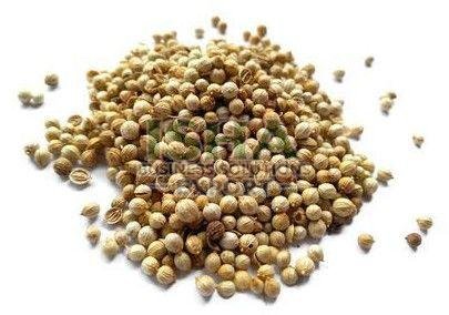 A Grade Dried Coriander Seed