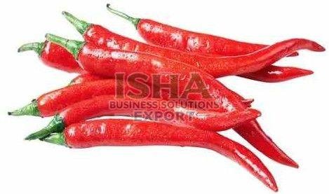 A Grade Kashmiri Red Chilli