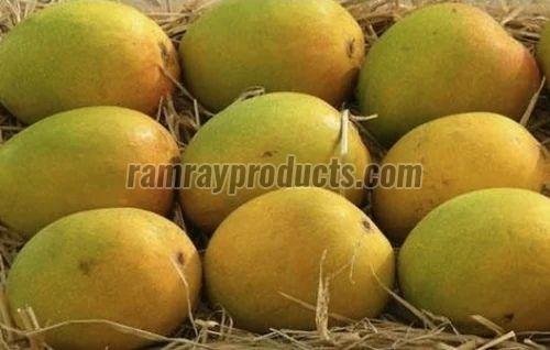 Organic Ratnagiri Alphonso Mango